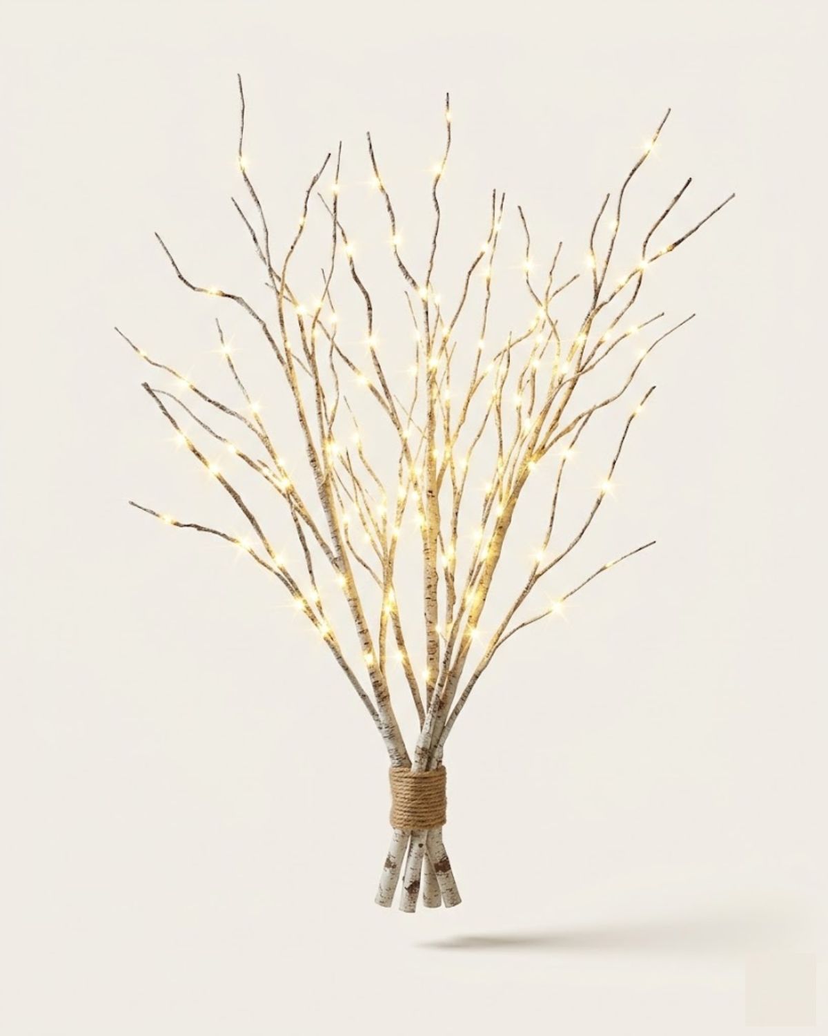 Splendore™ — Winter Light Birch Branch