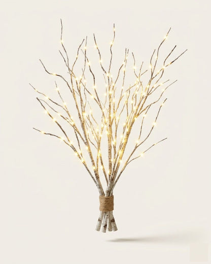 Splendore™ — Winter Light Birch Branch